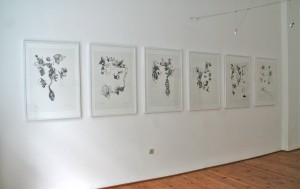 Ausstellungsansicht 4, Galerie 61, Berlin, 2011